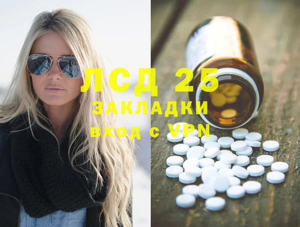 стафф Арсеньев