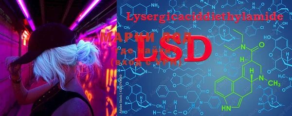PSILOCYBIN Армянск