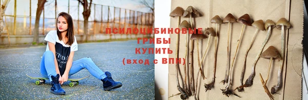 стафф Арсеньев