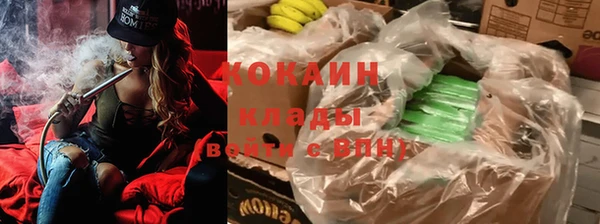 стафф Арсеньев