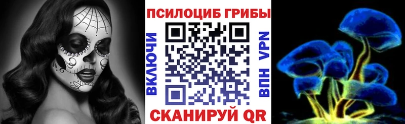 Псилоцибиновые грибы мицелий  Нижний Ломов 